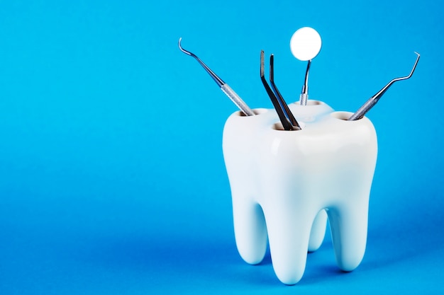 Modelo de diente dental con equipo de odontología médica de metal