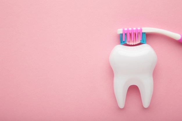 Modelo de diente sano blanco y cepillo de dientes dental sobre fondo rosa con espacio de copia Concepto de atención médica y cuidado dental