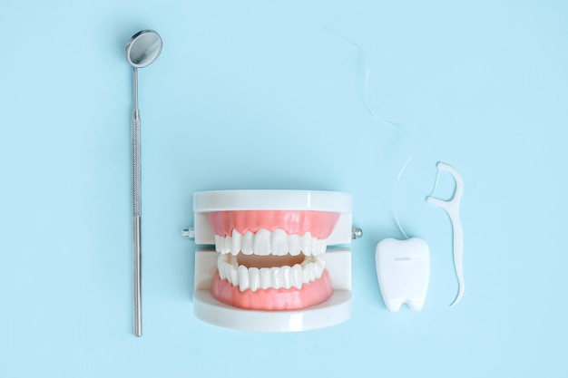 Modelo de dientes e instrumentos dentales y productos para el cuidado dental sobre la vista superior de fondo azul