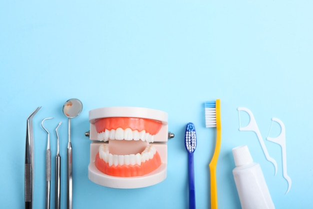 Modelo de dientes e instrumentos dentales y productos para el cuidado dental.