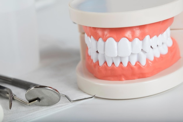 Modelo de dientes y mandíbula. Otras herramientas de odontología en el fondo.