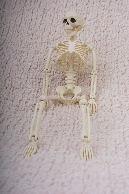 Modelo de esqueleto humano posando para la ciencia de la anatomía médica