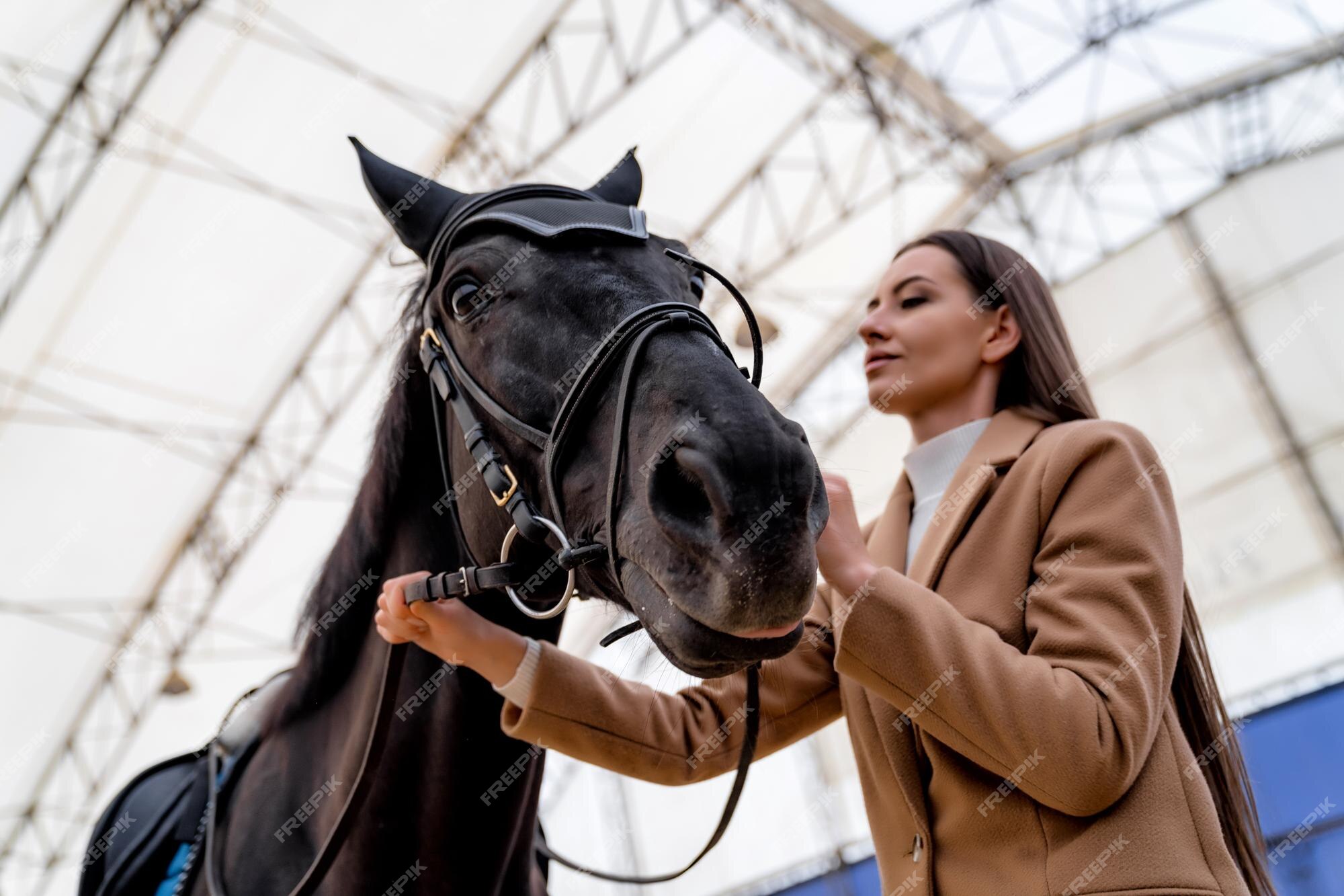 Foto de Cavalo De Frente Jóquei Menina Bonita Por Suas Rédeas Em Todo País  Em Equipamento Profissional e mais fotos de stock de Alazão - Cor de Cavalo  - iStock