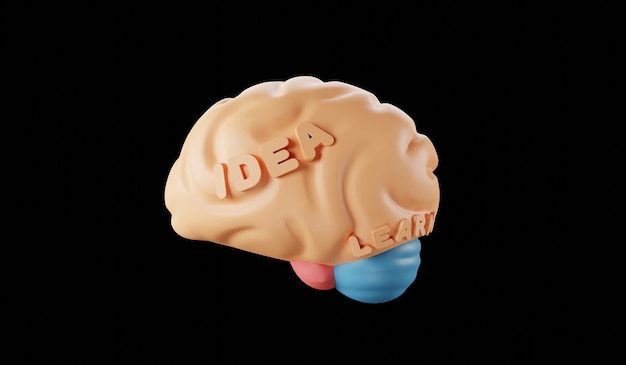 Foto modelo de idea del cerebro humano