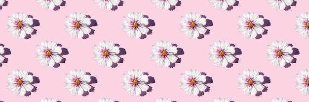 Modelo inconsútil de la luz del sol de moda hecho con delicadas flores sobre fondo rosa, como telón de fondo o textura. Concepto floral mínimo. Banner para su diseño