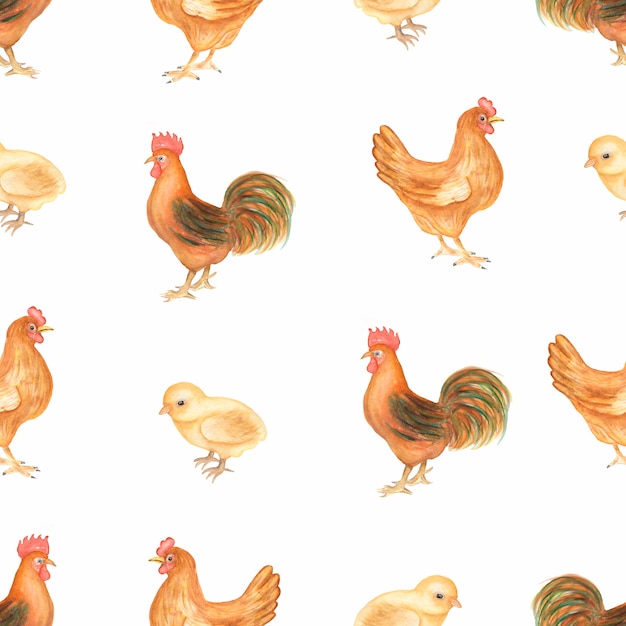 Modelo inconsútil del vintage hermoso de la acuarela con los animales del campo. Aves de gallina, gallina y gallo. Dibujado a mano.
