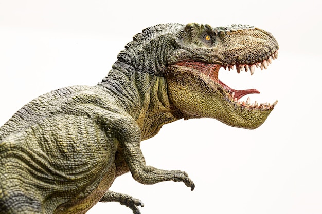 Modelo isolado de dinossauro tyrannosaurus rex no fundo branco