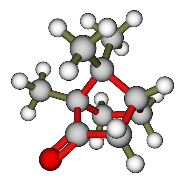 Modelo molecular de cânfora