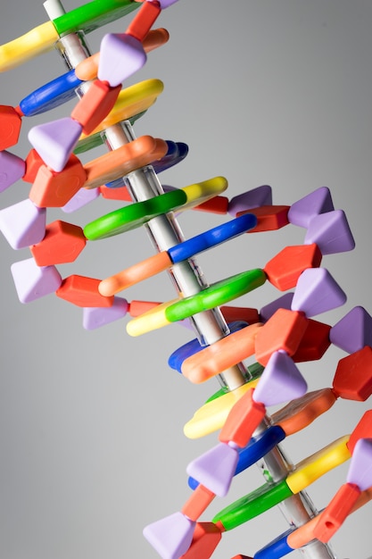 Modelo molecular, de DNA e átomos no laboratório de pesquisa científica
