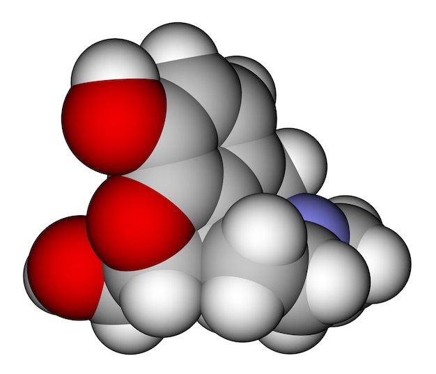 Modelo molecular de llenado de espacio de morfina