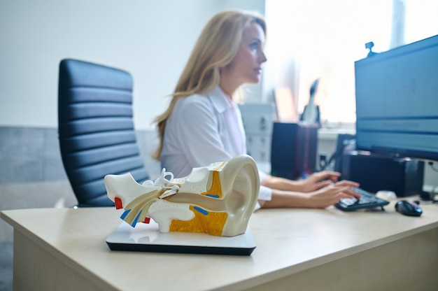 Modelo de oído en mesa y médico trabajando en equipo portátil