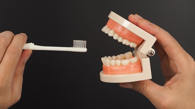 Modelo ortodôntico de dentes e escova de dentes na mão em fundo preto