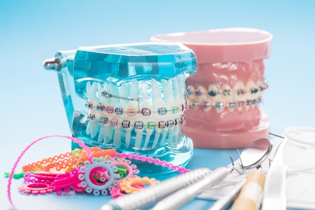 Modelo ortodôntico e ferramenta de dentista - modelo de dentes de demonstração