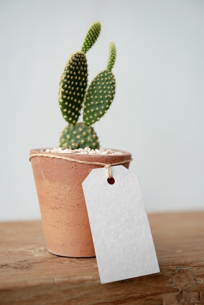 Modelo png de etiqueta de papel em pote de cacto bonito