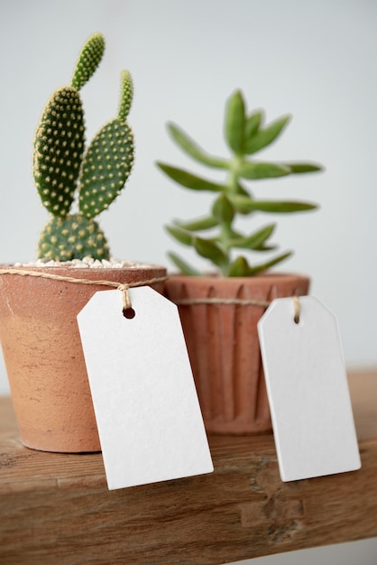 Modelo png de etiqueta de papel em vasos de cacto bonitos