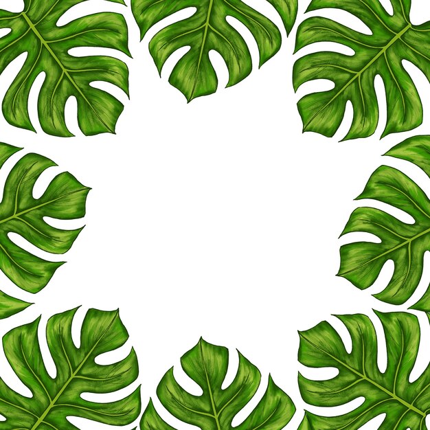 Modelo quadrado para texto com folhas de palmeira monstera tropical moldura ou borda com floresta tropical