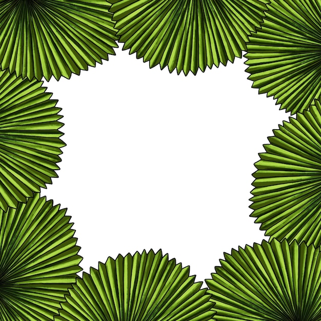 Modelo quadrado para texto com folhas de palmeira tropical Quadro ou borda com plantas exóticas da floresta tropical da selva Isolado na ilustração desenhada à mão realista branca para design de etiquetas