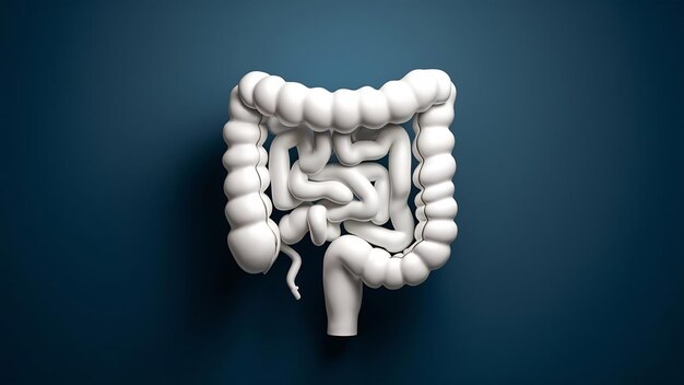 Foto modelo volumétrico blanco del intestino en un fondo azul renderización 3d