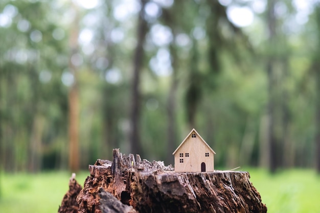 Modelos de casas de madera en tocón de árbol al aire libre