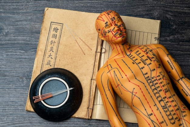 Modelos de acupuntura e livros médicos estão sobre a mesa. A acupuntura é um método médico tradicional chinês