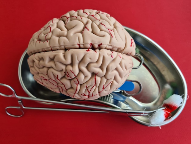 Modelos de anatomia cerebral e closeup de operações cirúrgicas