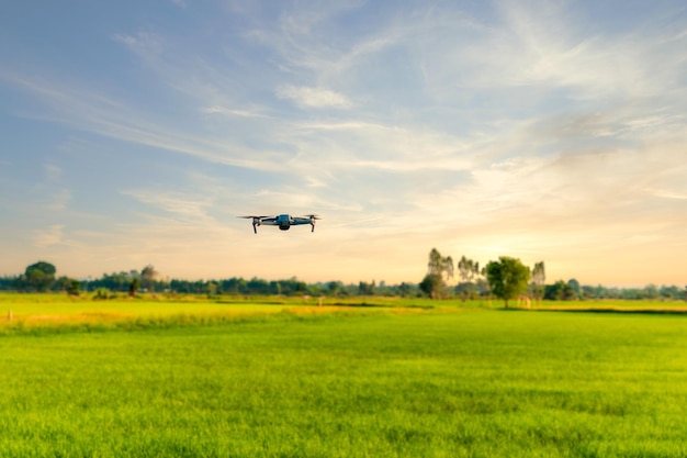 Moderne Drohnen zum Fliegen erkunden landwirtschaftliche Ernte im Reisfeld am Abend