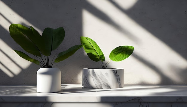 Moderne, minimalistische, leere weiße Marmorstein-Tischplatte mit Palme im Sonnenlicht
