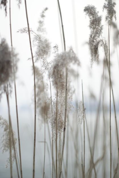 Foto moderne schöne naturbilder