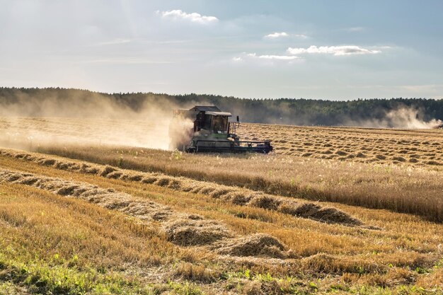 Moderne schwere Erntemaschine entfernt das reife Weizenbrot im Feld Saisonale landwirtschaftliche Arbeit