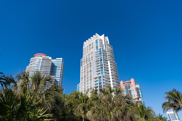 Moderne Towerblocks Hochhausarchitektur und Palmen am blauen Himmel in South Beach USA