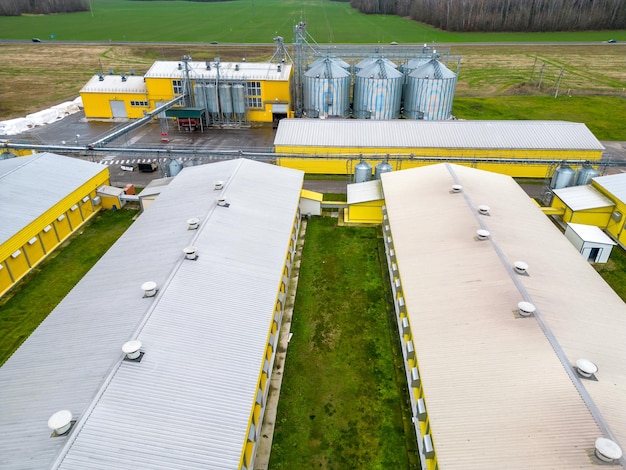 Moderner agroindustrieller Komplex Draufsicht Fliegen einer Drohne über eine große Hühnerfarm, die Broilerhühner für Fleisch züchtet Reihen von Hühnerställen und silbernen Getreidesilos