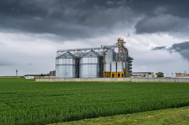 Moderner Getreideheber und Saatgutreinigungslinie Silbersilos auf Agroverarbeitungs- und Produktionsanlagen zur Verarbeitung, Trocknung, Reinigung und Lagerung von landwirtschaftlichen Produkten, Mehl, Getreide und Getreide