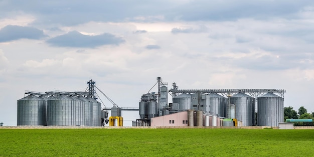 Moderner Getreideheber und Saatgutreinigungslinie Silbersilos auf Agroverarbeitungs- und Produktionsanlagen zur Verarbeitung, Trocknung, Reinigung und Lagerung von landwirtschaftlichen Produkten, Mehl, Getreide und Getreide