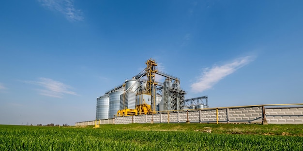 Moderner Granary-Elevator Silbersilos in Agroverarbeitungs- und Produktionsanlagen zur Verarbeitung, Trocknung, Reinigung und Lagerung von landwirtschaftlichen Produkten, Mehl, Getreide und Körnersaatgut-Reinigungslinie