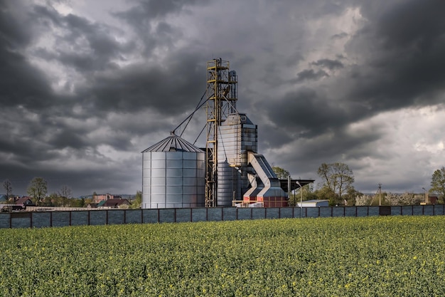 Moderner Granary-Elevator Silbersilos in Agroverarbeitungs- und Produktionsanlagen zur Verarbeitung, Trocknung, Reinigung und Lagerung von landwirtschaftlichen Produkten, Mehl, Getreide und Körnersaatgut-Reinigungslinie