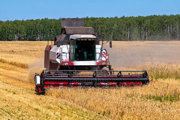 Moderner Mähdrescher, der an einem klaren, sonnigen Tag auf dem Feld arbeitet