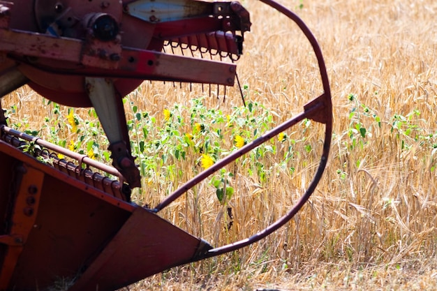 Moderner Traktor im Feld mit Komplex für das Pflügen Das Konzept der Arbeit in einer Feld- und Landwirtschaftsindustrie