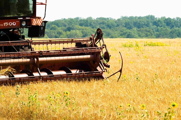 Moderner Traktor im Feld mit Komplex für das Pflügen Das Konzept der Arbeit in einer Feld- und Landwirtschaftsindustrie