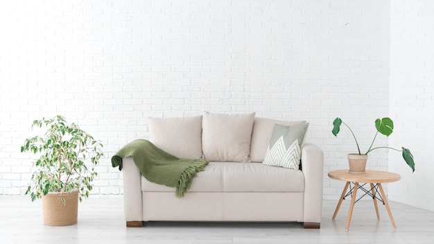 Modernes Interieur mit Sofa und Pflanzen, neutrales Tageslicht