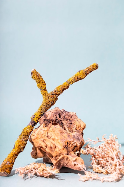 Modernes kreatives Stillleben mit Öko-Materialien Alte Zweige mit strukturiertem Moos und Holzstücken auf einem vertikalen Foto mit hellblauem Hintergrund