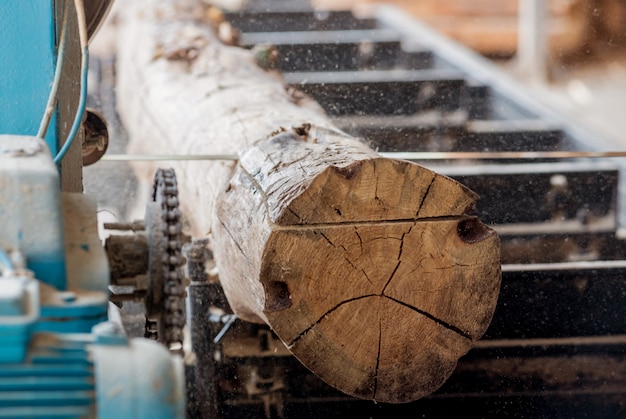 Modernes Sägewerk. Industriesägebretter aus Baumstämmen