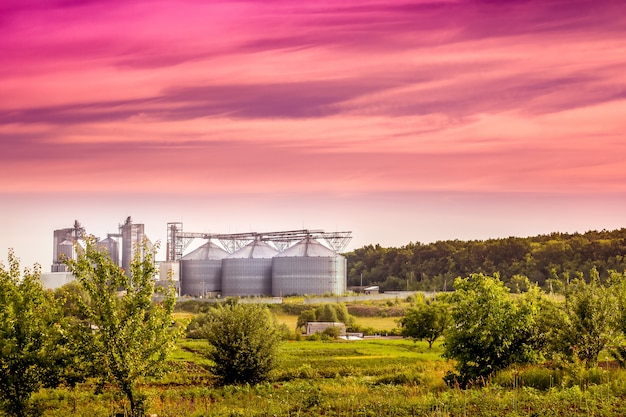 modernes Unternehmen in der Nähe des Waldes am Morgen während des Sonnenaufgangs. Sommer Industrielandschaft in einer umweltfreundlichen Gegend