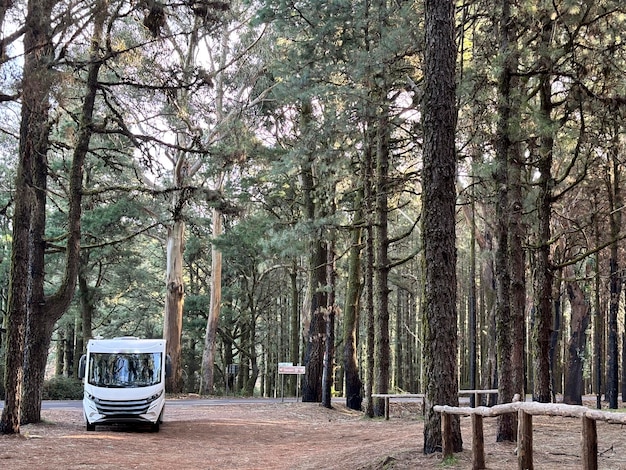 Modernes Wohnmobil, Wohnwagen, Wohnwagenparkplatz im Naturpark im Freien mit hohen malerischen Bäumen im Hintergrund Konzept der Reise und alternativer Wohnwagen-Ferienfreiheit Leben und Urlaub