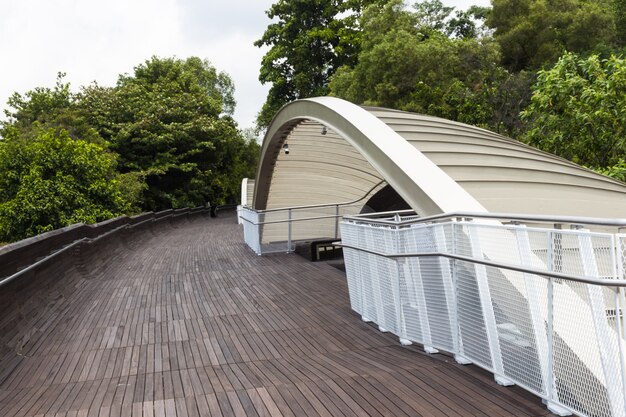 Moderno puente de madera