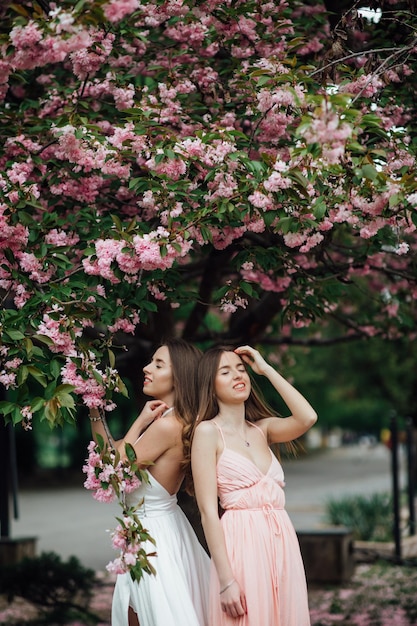 Modische Dame posiert in der Nähe eines blühenden Baums. Twin Girls Schönheit und Mode für Frauen.