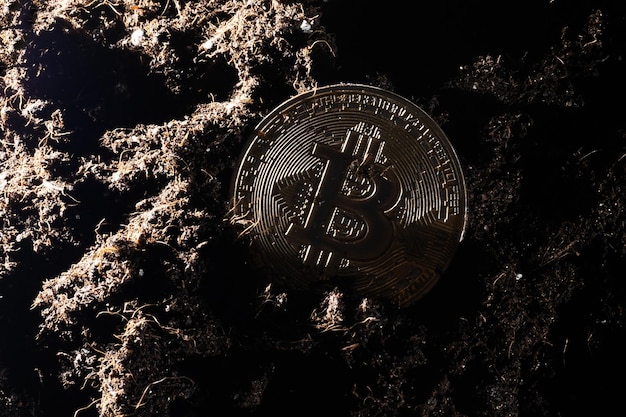 Moeda Bitcoin dourada no fundo da terra.