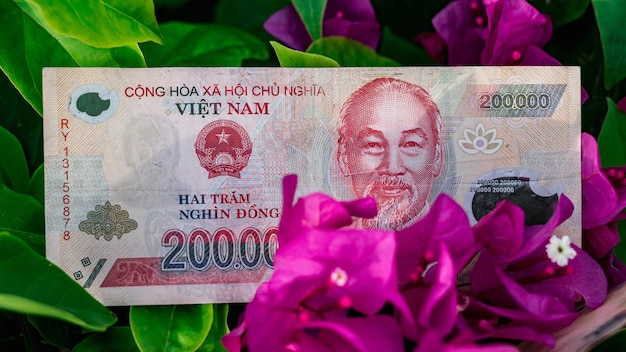 Moeda de dinheiro vietnamita 200 000 e 10 000 dong símbolo de flor de renda cresce próspero