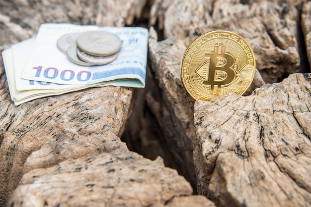 Moeda dourada do bitcoin sobre e dinheiro na tabela de madeira.