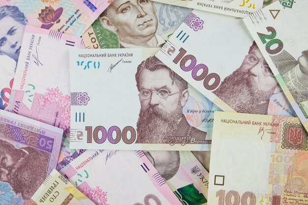 Moeda ucraniana Hryvnia diferente Conceito financeiro