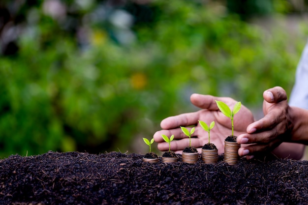 Moedas de dinheiro de proteção de mão como gráfico crescente, planta brotando do chão com fundo verde.